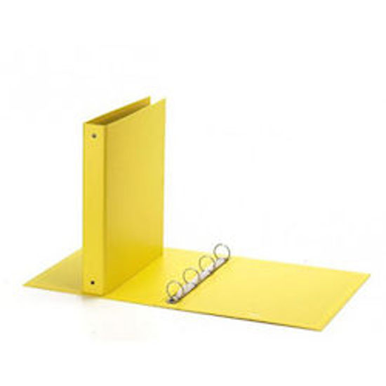 Immagine di Raccoglitore  FAVORIT 22X30 4 anelli D3 giallo