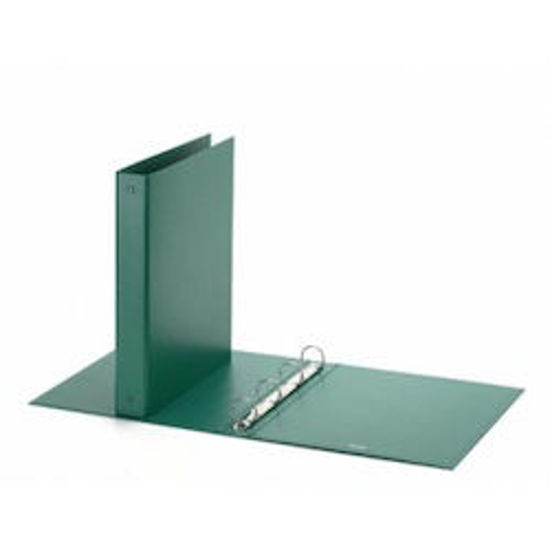 Immagine di Raccoglitore  FAVORIT 22X30 4 anelli D3 verde