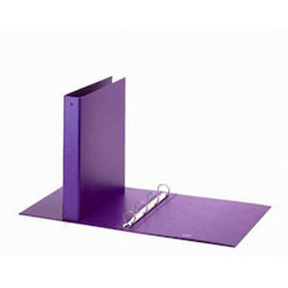 Immagine di Raccoglitore  FAVORIT 22X30 4 anelli D3 viola